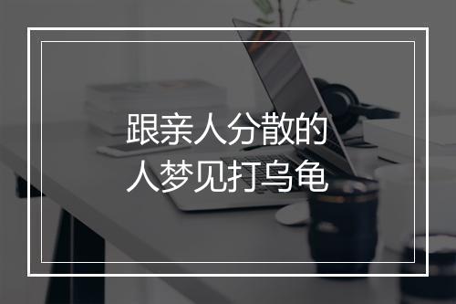 跟亲人分散的人梦见打乌龟