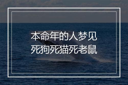 本命年的人梦见死狗死猫死老鼠