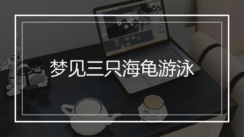 梦见三只海龟游泳