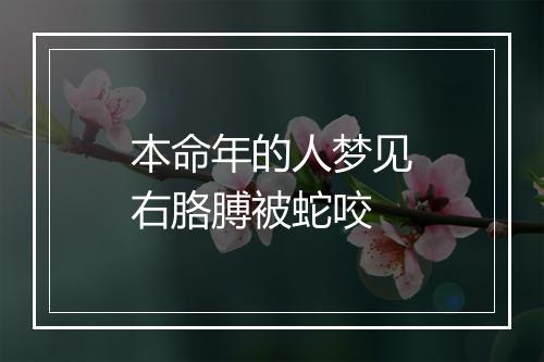 本命年的人梦见右胳膊被蛇咬