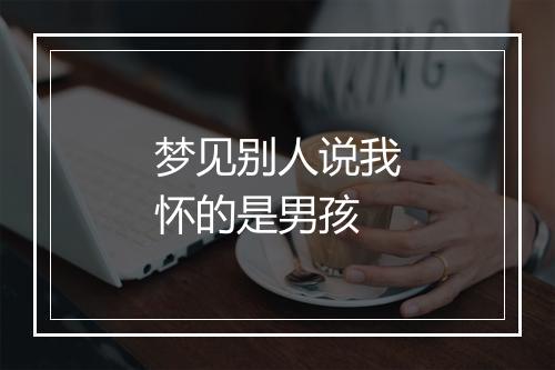 梦见别人说我怀的是男孩