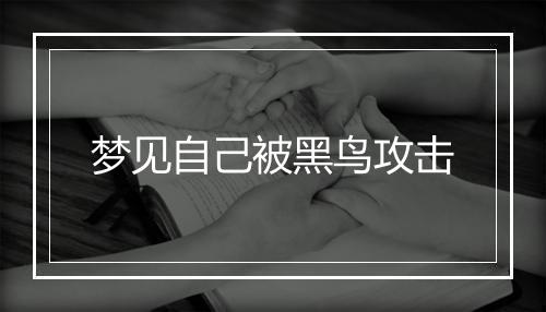 梦见自己被黑鸟攻击