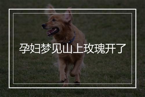 孕妇梦见山上玫瑰开了