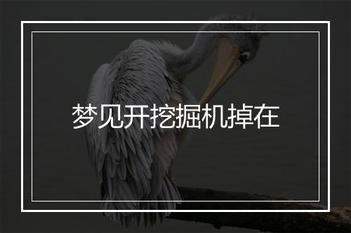 梦见开挖掘机掉在