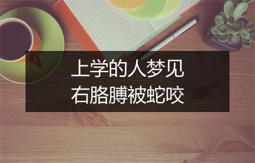 上学的人梦见右胳膊被蛇咬