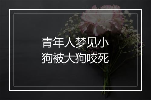 青年人梦见小狗被大狗咬死