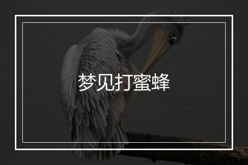 梦见打蜜蜂