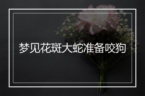 梦见花斑大蛇准备咬狗