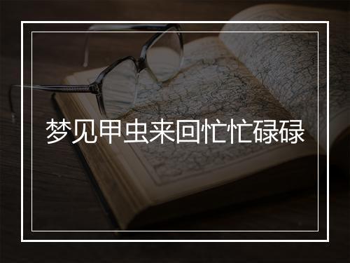 梦见甲虫来回忙忙碌碌