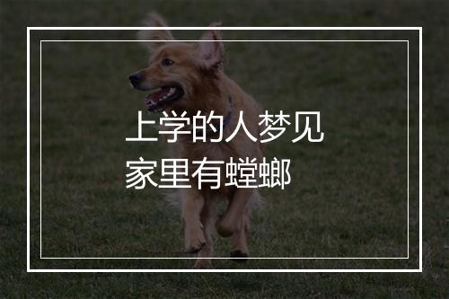 上学的人梦见家里有螳螂