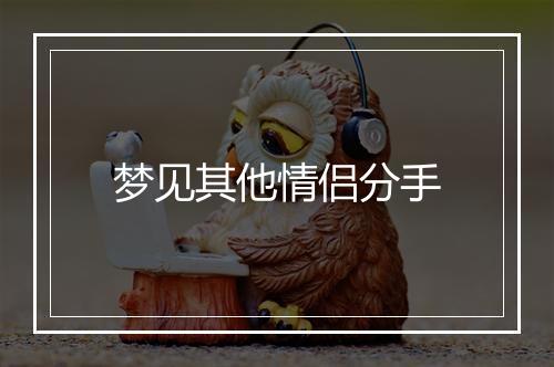 梦见其他情侣分手