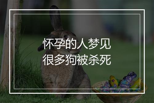 怀孕的人梦见很多狗被杀死